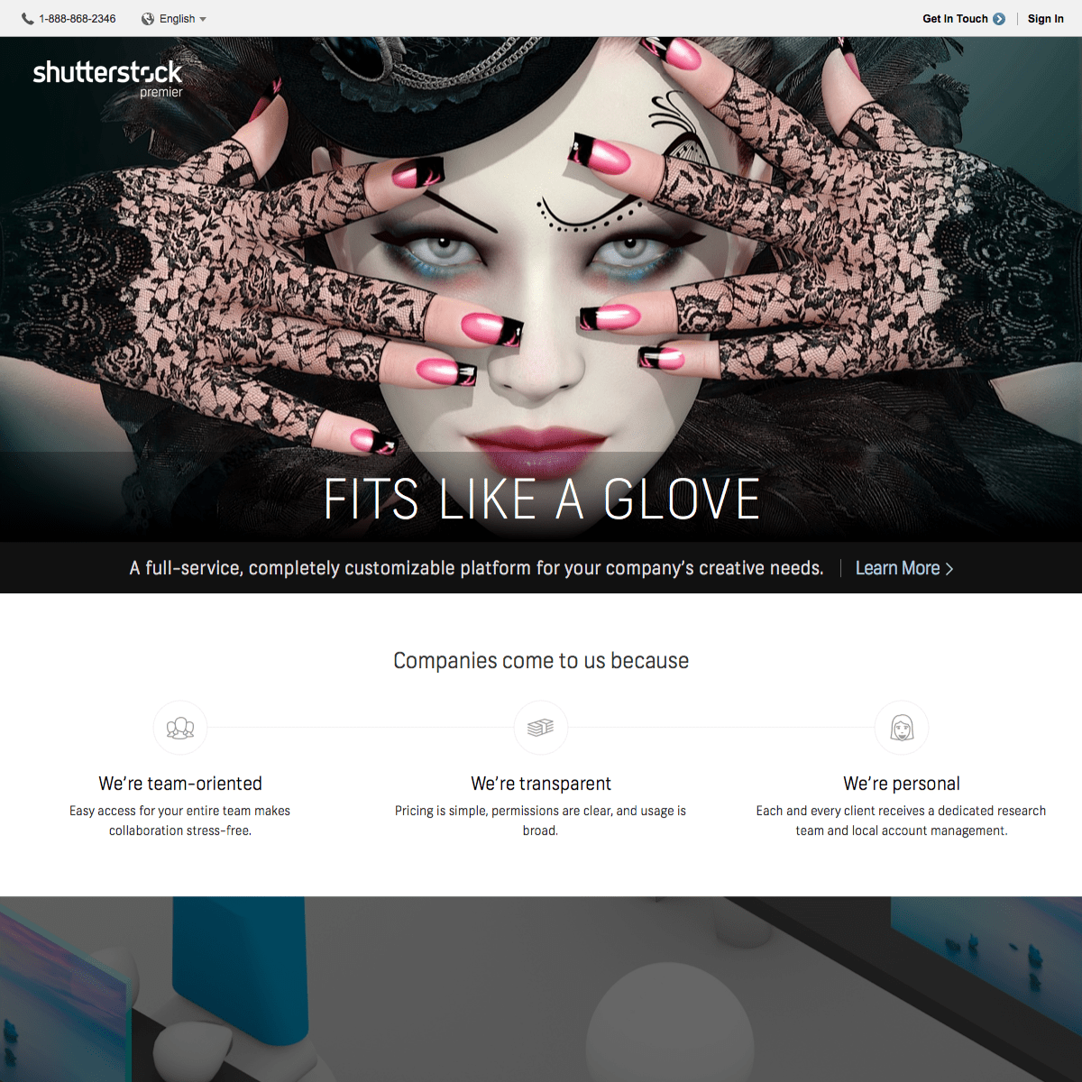 shutterstock work sample